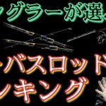 【シーバス】最高のロッドランキング！ベスト5！