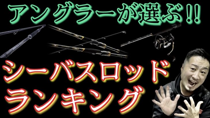 【シーバス】最高のロッドランキング！ベスト5！