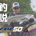 小沼正弥 マービー50実釣解説