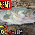 琵琶湖のバス釣り50アップ13連発！！これが世界一のバスフィールド琵琶湖のバスフィッシング！2022年50アップヒットシーンを総集編として公開！【琵琶湖バス釣り】