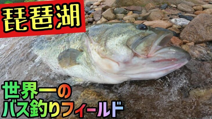 琵琶湖のバス釣り50アップ13連発！！これが世界一のバスフィールド琵琶湖のバスフィッシング！2022年50アップヒットシーンを総集編として公開！【琵琶湖バス釣り】