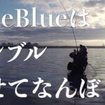 【福井・九頭竜川】波乱のシーバスゲーム〜DAY5〜RYOさん本領発揮！？