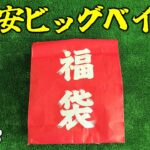 某釣具屋の抱き合わせ的タイニークラッシュ入りDRT福袋をガン無視して俺なりの激安ビッグベイト福袋買ってきた2023【バス釣り/シーバス】