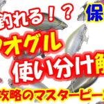 【シーバス】なぜ釣れる！？エアオグル使い分け解説！真冬のボトム攻略にもGOOD！保存版