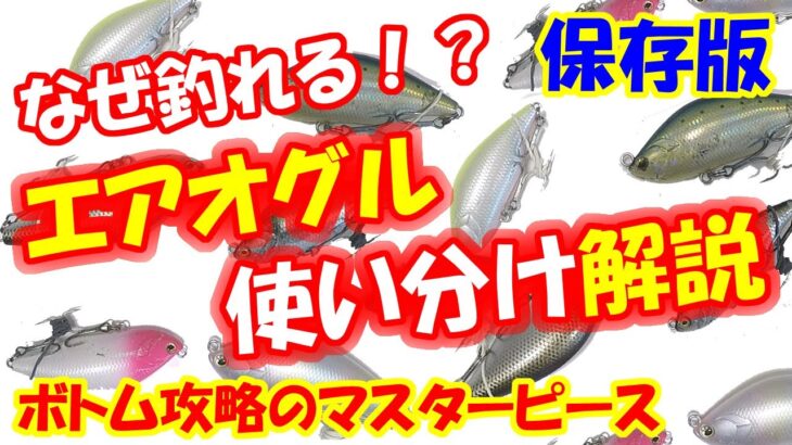 【シーバス】なぜ釣れる！？エアオグル使い分け解説！真冬のボトム攻略にもGOOD！保存版