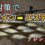 【アジング】風対策でPEラインからエステルラインに変更して釣ってみました／（※アジング初エステルラインだったのでリーダーはもう少し太いラインに今後変更するかもしれません）：アジ釣り・堤防釣行・海釣り