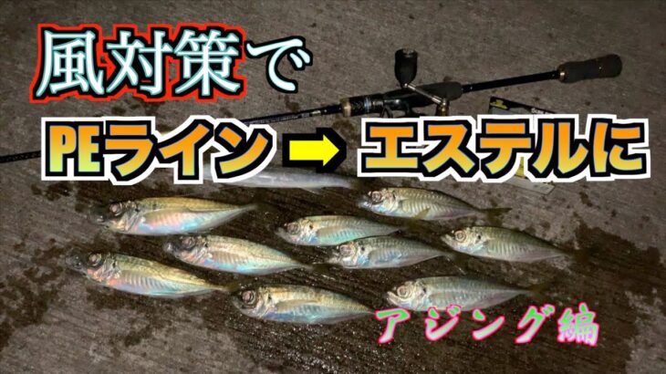 【アジング】風対策でPEラインからエステルラインに変更して釣ってみました／（※アジング初エステルラインだったのでリーダーはもう少し太いラインに今後変更するかもしれません）：アジ釣り・堤防釣行・海釣り