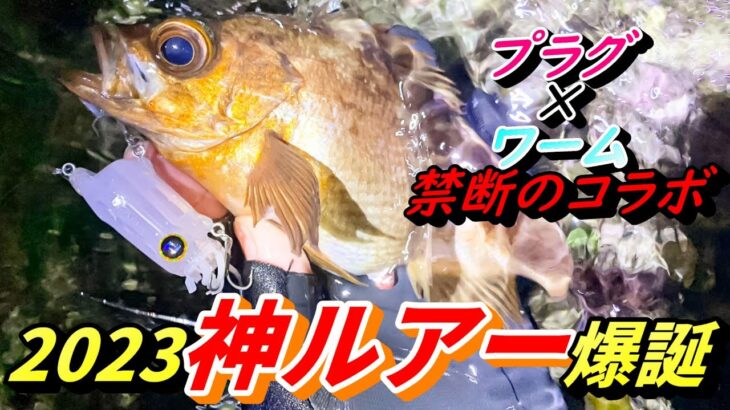 ルアー新時代到来！これで釣れなかったらヤバイ！メバル、シーバス、クロダイを釣りたい方必見です！PUDLEE新作ルアーイカルアJET実釣レポート