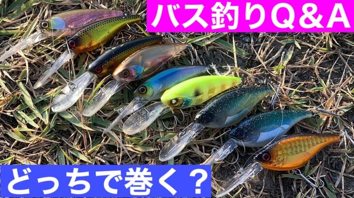 【バス釣りQ＆A】シャッドって、ベイトで巻いた方が良いの？それともスピニング？【水の旅＃ １８８】