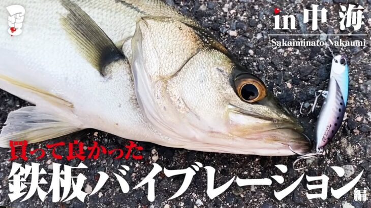 朝夕マズメを鉄板で狙う！シーバス釣行録 in 中海〈釣猿2nd〉