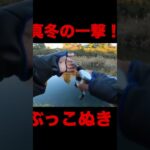 真冬の一撃！フルフッキングバス釣り映像#shorts