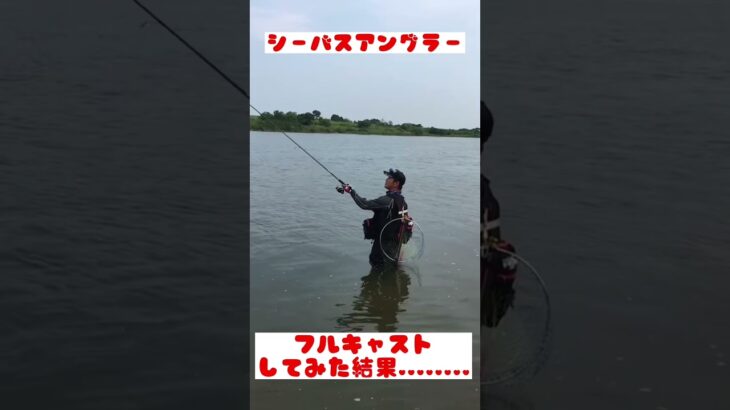 【シーバス釣り‼︎】やってしまった😅 #shorts #釣り#fishing