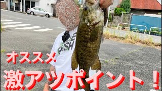 【埼玉バス釣りポイント】バス釣り激アツポイント総集編！見れば納得オススメポイント後編【バス釣り】