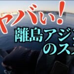 デカアジ釣りまくってたら、隣のお姉様が拝みにきた。。。 凄い！離島アジングのススメ。離島アジング波止キャンプ！良型連発、尺アジも躍り出る！釣り方、釣れ方、タックルの紹介【釣りング】