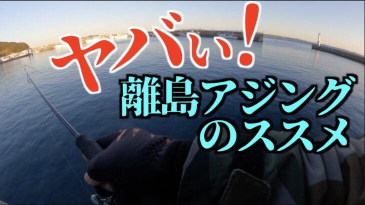 デカアジ釣りまくってたら、隣のお姉様が拝みにきた。。。 凄い！離島アジングのススメ。離島アジング波止キャンプ！良型連発、尺アジも躍り出る！釣り方、釣れ方、タックルの紹介【釣りング】