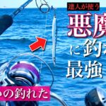 達人が使う市販ルアーで..釣り人憧れの大物を釣り上げてしまった。