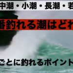 結局一番釣れる潮は何か。潮ごとの特性をご紹介