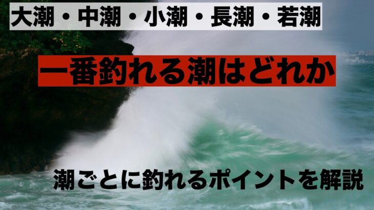 結局一番釣れる潮は何か。潮ごとの特性をご紹介