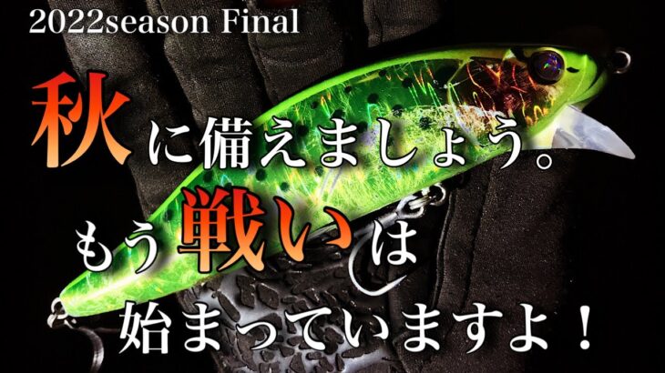 【シーバス】今年の秋はコレを使ってみてほしい！人気ルアーの準備はお早めに。