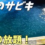 無限に釣れる！あるポイントに密集している魚を狙ってみた！【波崎】