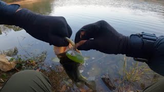 真冬にデカバスを狙って釣る方法… 一番、簡単なのはコレです「バス釣り」「野池」「初心者」