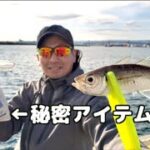 コマセを超節約するアイテムで爆釣サビキ釣り！小名浜港が真冬でも釣れまくる異常事態