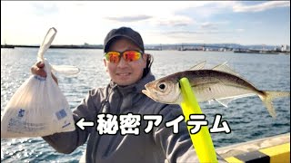 コマセを超節約するアイテムで爆釣サビキ釣り！小名浜港が真冬でも釣れまくる異常事態