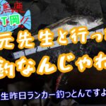 【岡山爆秋シーバス】河川攻略ランガンしながら釣れるルアーを探す！