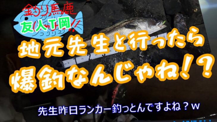 【岡山爆秋シーバス】河川攻略ランガンしながら釣れるルアーを探す！