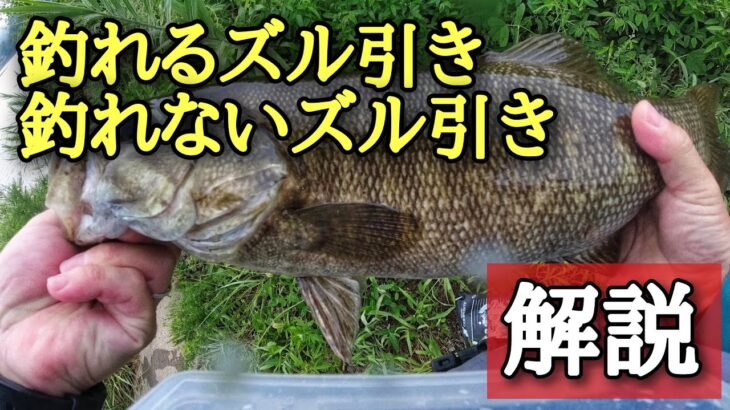 釣れるズル引きのやり方や使い分けを解説します「バス釣り」「初心者」「釣り方」