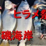 【ヒラメ祭り】いわき市薄磯海岸のサーフで魚突き！+海底映像