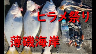 【ヒラメ祭り】いわき市薄磯海岸のサーフで魚突き！+海底映像