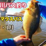 真冬の川 バス釣り スモールマウスバス