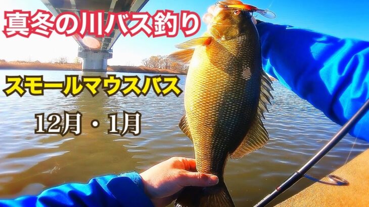 真冬の川 バス釣り スモールマウスバス