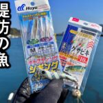 【サビキマル】この２つを組み合わせるだけで堤防の魚が釣れまくります。