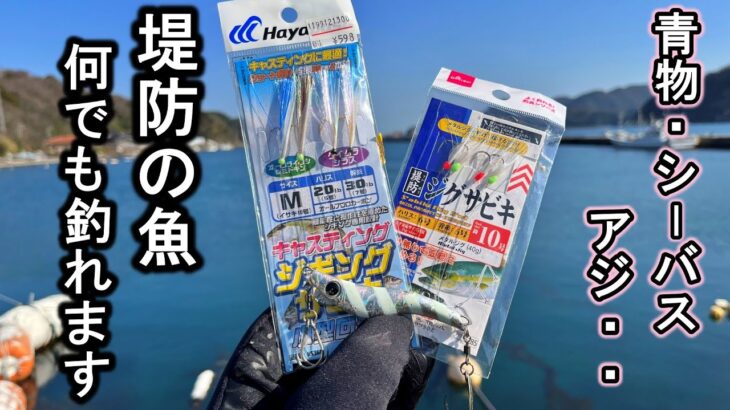 【サビキマル】この２つを組み合わせるだけで堤防の魚が釣れまくります。