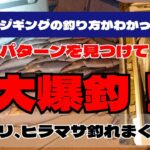 「前編」電動ジギングの釣り方わかりました！パターンを見つけて寒ブリ