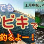 冬でも釣るよー！サビキ釣り