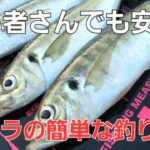 【アジング】これなら安心、デカアジ連発！初心者さんテトラアジング先ずはここからスタートです