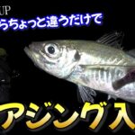 【アジング初心者必見】ジグ単で狙う夜の磯場で尺鰺の釣り方講座！