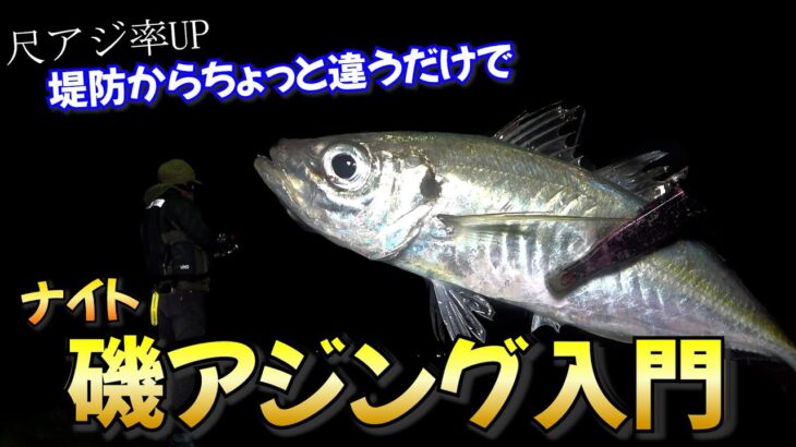 【アジング初心者必見】ジグ単で狙う夜の磯場で尺鰺の釣り方講座！