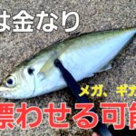 【アジング】最短でメガアジ・ギガアジ狙うならこの釣り方が確実。