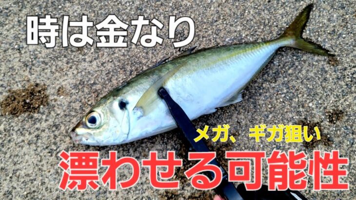 【アジング】最短でメガアジ・ギガアジ狙うならこの釣り方が確実。