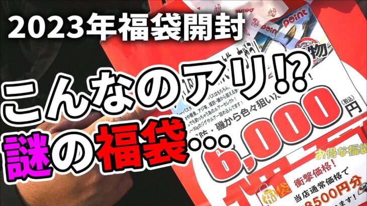 売り場で異様な雰囲気を放つ「シーバスタックルで何でも福袋」が気になったので実際買ってみました。