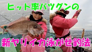 ヤリイカ泳がせでマダイを釣ろう！！ヒット率バツグンのヤリイカ泳がせ新釣法【ヤリイカ釣り】【ヤリイカ泳がせ】