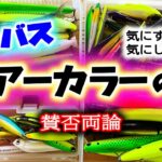 ルアーカラーの話 – シーバスルアーの色は気にする派？気にしない派？賛否両論 編