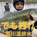 【埼玉バス釣りポイント】荒川温排水でバス釣り！熱いぞ荒川！【バス釣り】