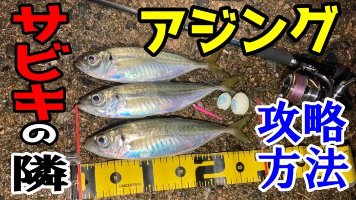 【アジング】サビキの隣で尺アジを釣る方法