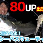 【シーバス釣り】冬のシーバスウェーディング！【つりにいこうよ。】