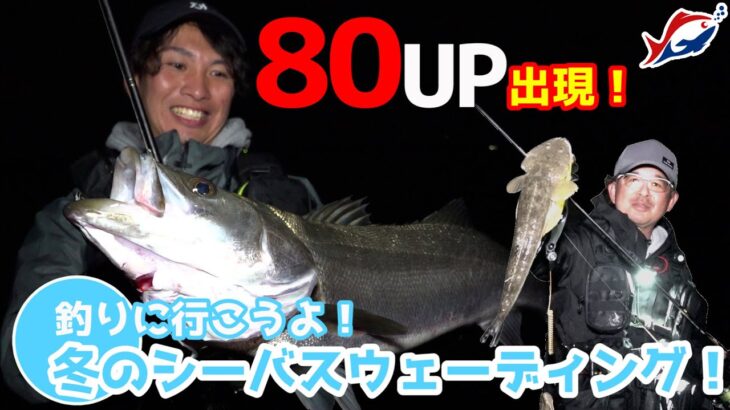 【シーバス釣り】冬のシーバスウェーディング！【つりにいこうよ。】